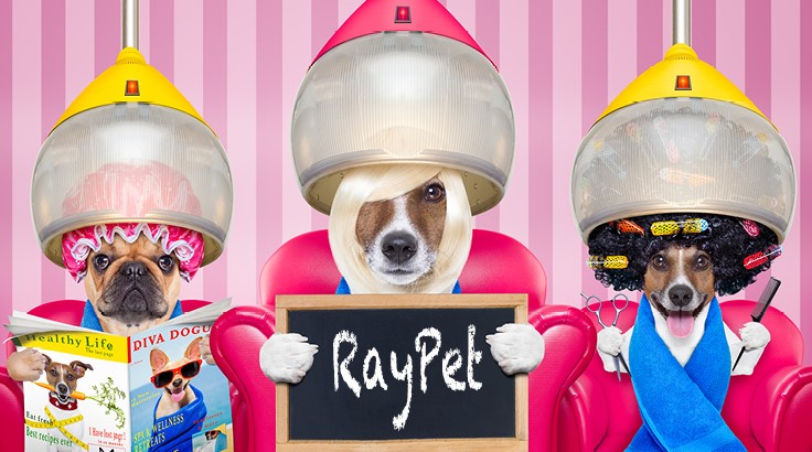 What’s New with Raypet?