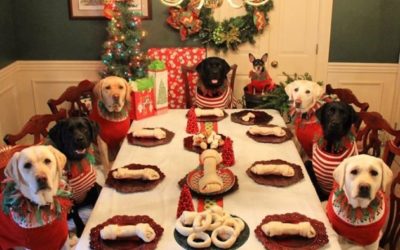 Holiday food that is bad for your dogs